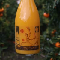南柑20号 juice 720ml 1p-6p | orchard