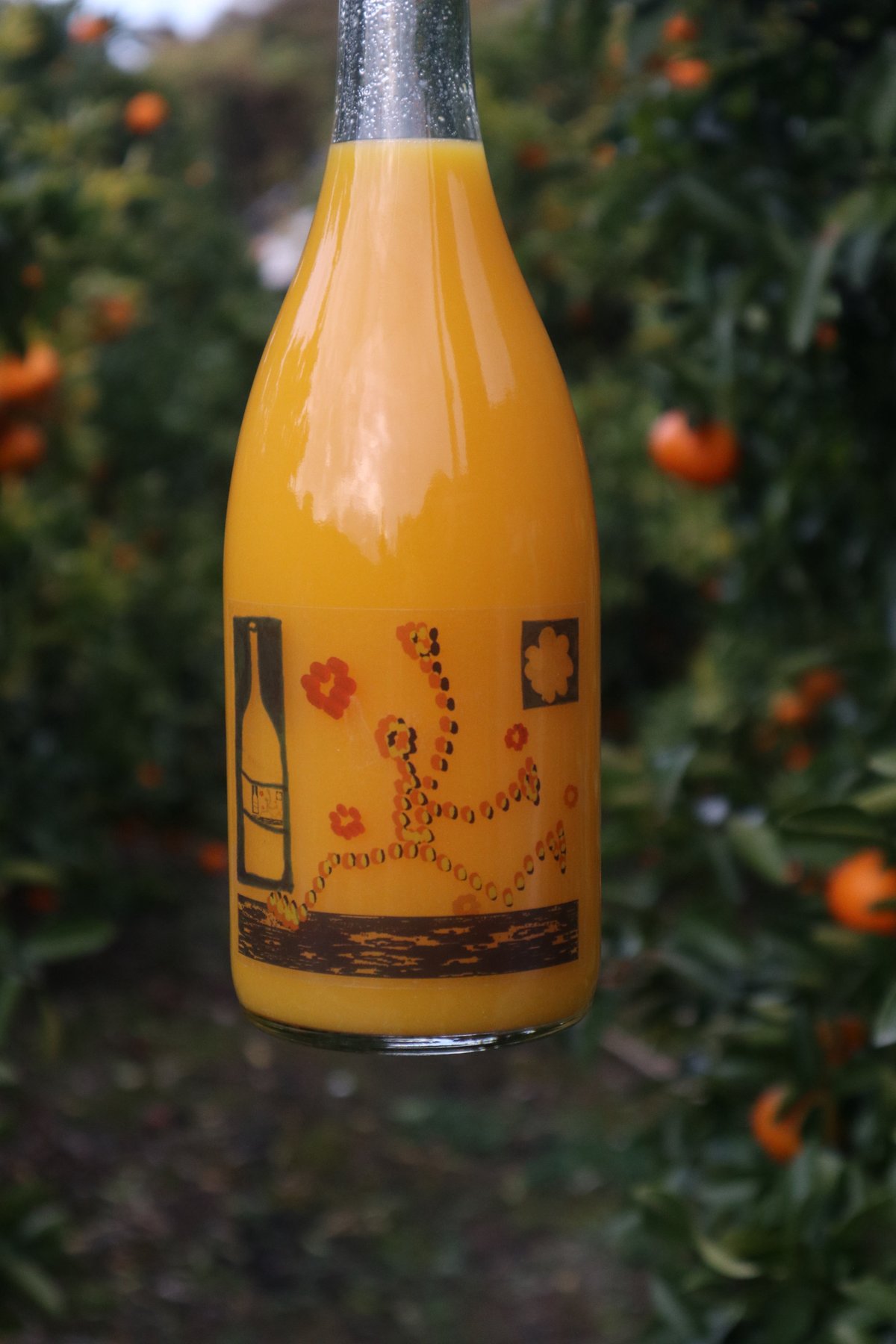 南柑20号 juice 720ml 1p-6p | orchard