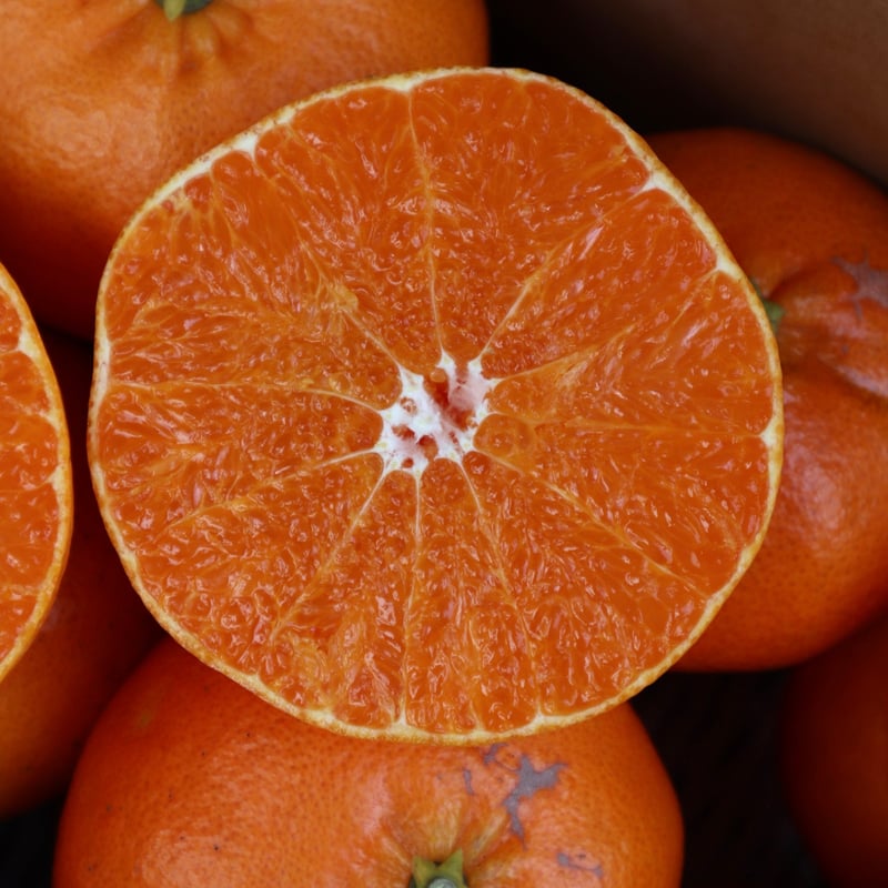 甘平 3kg-10kg | orchard