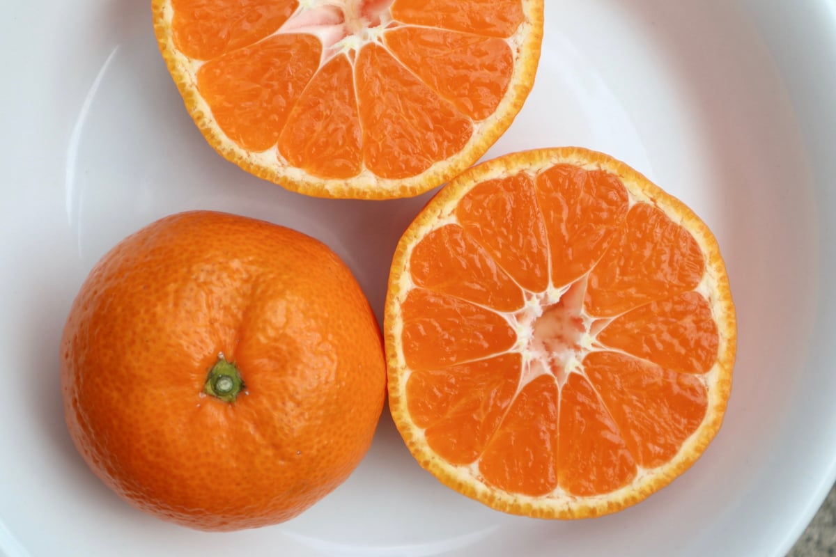 温州みかん（南柑20号） | orchard