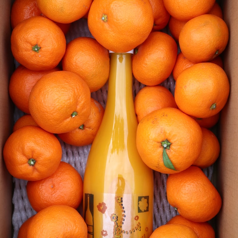 南柑20号 juice 720ml 1p-6p | orchard