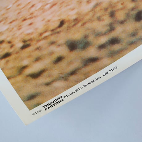 【 C-Z RIDER 】1972