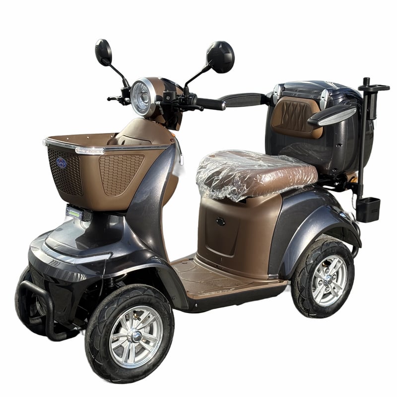 アレック様ご購入専用作品 コアライト・デラックス4 | TRIKES JP