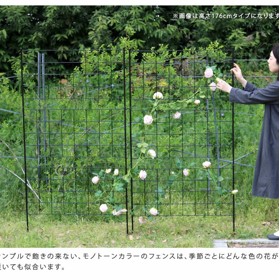 67932524db80ba0001a64cb9