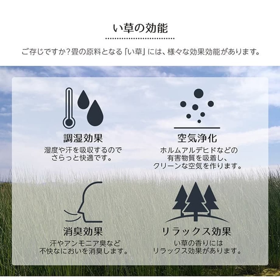 67c11d9cc49f1800011c69de