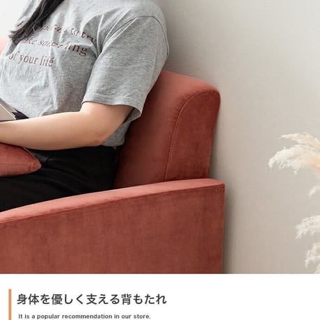2人掛けソファ コンパクトソファー ベロア フロア ロー 二人用 2P 小さい 小さめ 省スペース クッション付き ひとり暮らし 一人暮らし 高級感 高見え 上質 幅113 1K