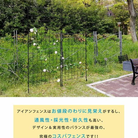アイアンフェンス 高さ226 「グラフ」 2枚組 フェンス アイアン ガーデンフェンス ガーデニング 枠 柵 仕切り 目隠し 境目 クラシカル アンティーク 格子 ベラン