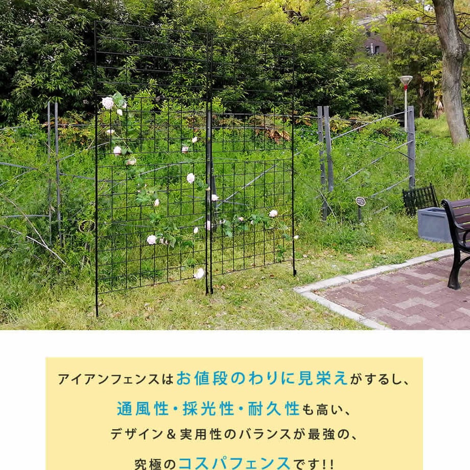 679325cadb80ba0001a64d0d