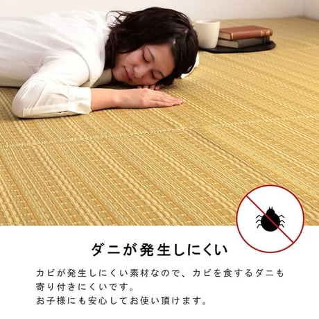 ポリプロピレンカーペット カーペット バルカン 87×174cm 江戸間1畳