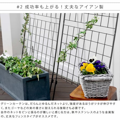 アイアン製グリーンカーテン グラフ 2枚組  フェンス アイアン グリーンカーテン ゴーヤ 薔薇 バラ 朝顔 庭 ベランダ ガーデニング 枠 柵 仕切り 目隠し 境目 アン