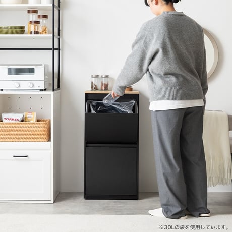 ゴミ箱 ダストボックス 分別 二段 15L 20L 縦型 フラップ式 キッチン 台所 ゴミ袋 収納 スリム コンパクト キャスター付き 一人暮らし 二人 ワンルーム 同棲 ファミリー 子供 キッズ