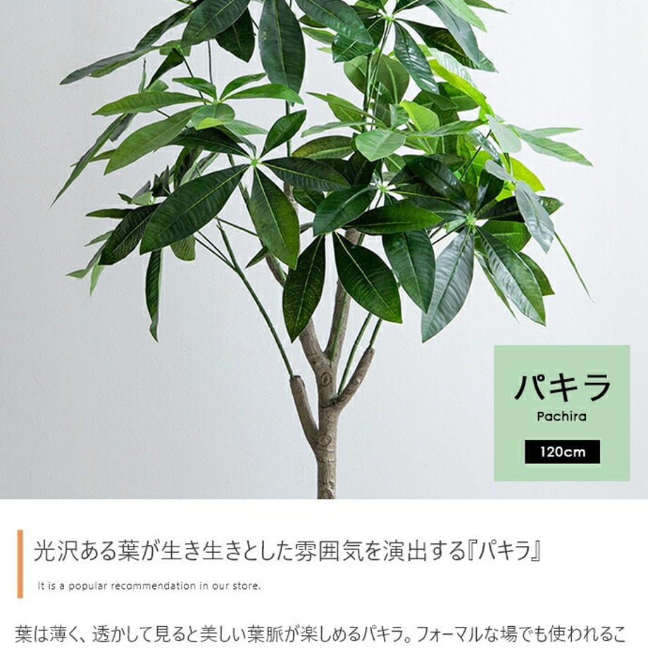678dac58af98d900017ca29b