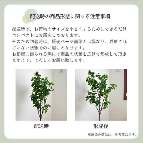 観葉植物 アレカヤシ 170センチ ミニ コンパクト 屋内 リアル お手入れ不要 鉢植え 光触媒加工 消臭効果 抗菌効果 防臭 ボタニカル ガーデニング 室内 グリーン お洒落 おしゃれ 北欧 リゾ