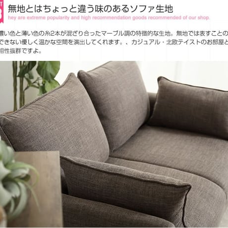 収納付き2人掛けソファ 2人掛け コンパクト 2人用 収納ソファ ポケットコイル ファブリック ソファー 体にフィット Riely おしゃれ ミッドセンチュリー 西海岸