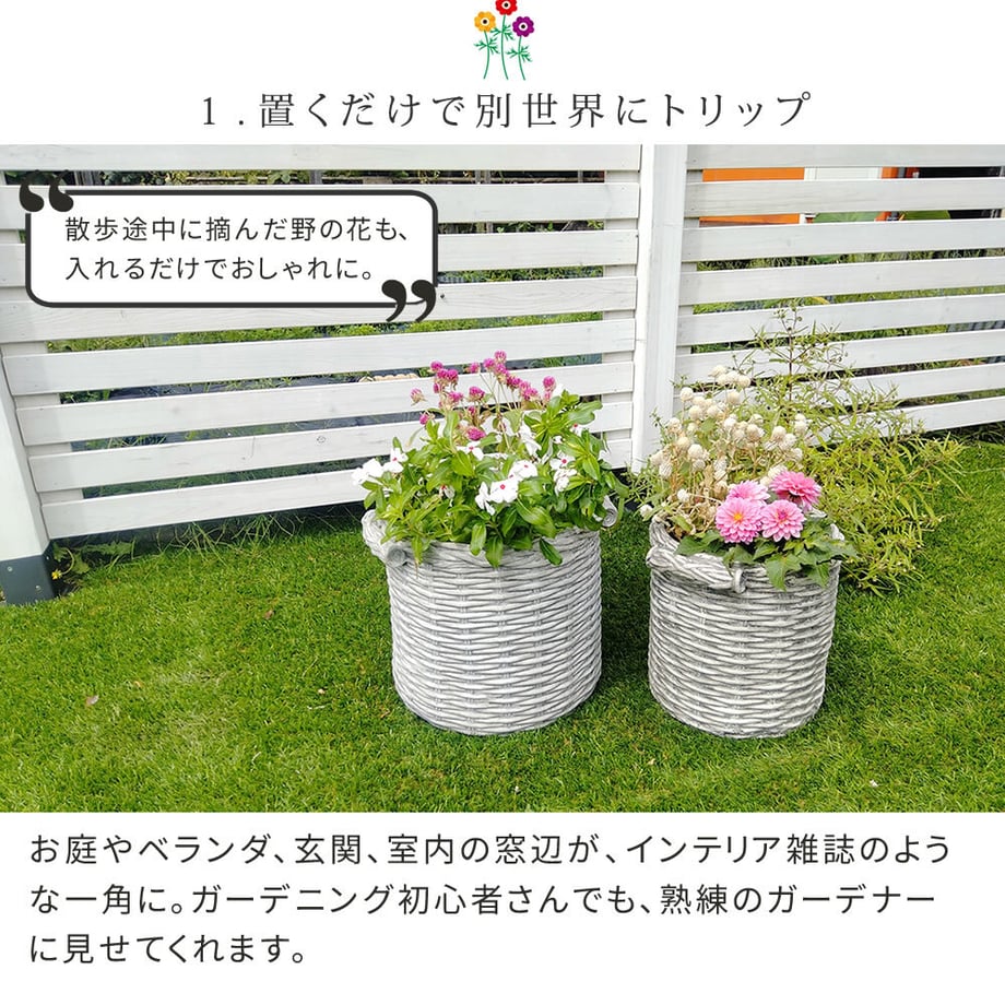 67931bdcdb80ba0001a647d5