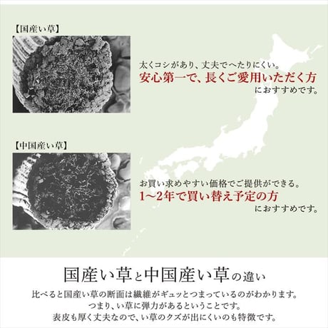 い草ラグ カーペット ノア 191×250cm