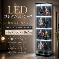 不二貿易 コレクションケース 4段 LED照明 背面ミラー ブラック 高さ162cm 幅42.5cm 奥行36.5cm 強化ガラス棚付き