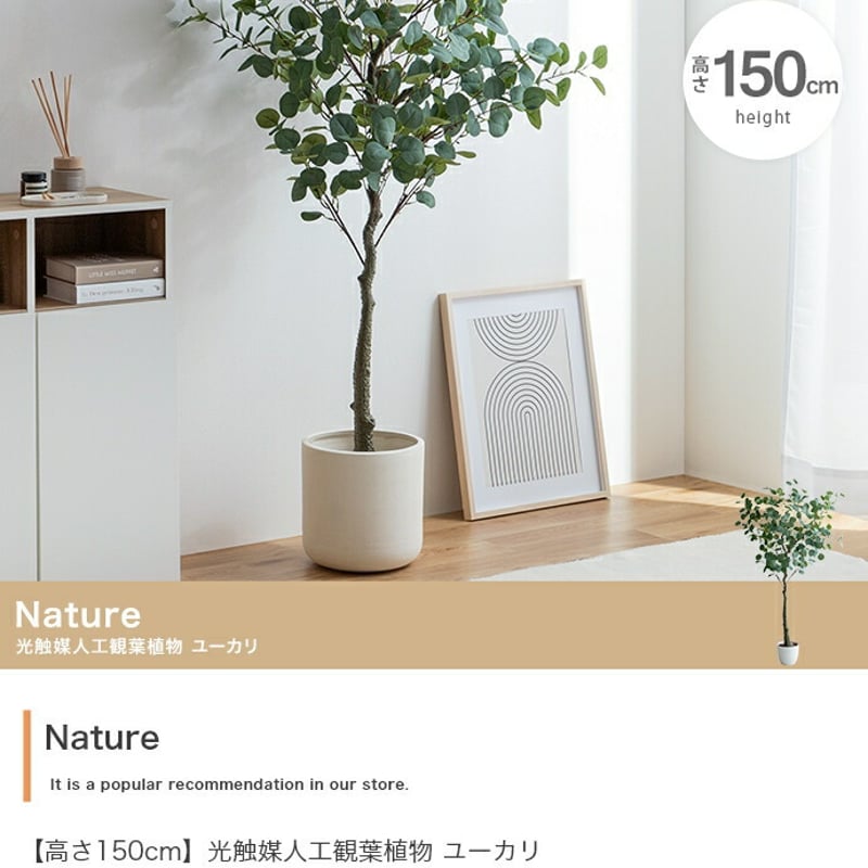 フェイクグリーン　ユーカリ（人工観葉植物）高さ150cm 不二貿易（Fuji Boeki） フェイクグリーン ユーカリ 高さ150cm