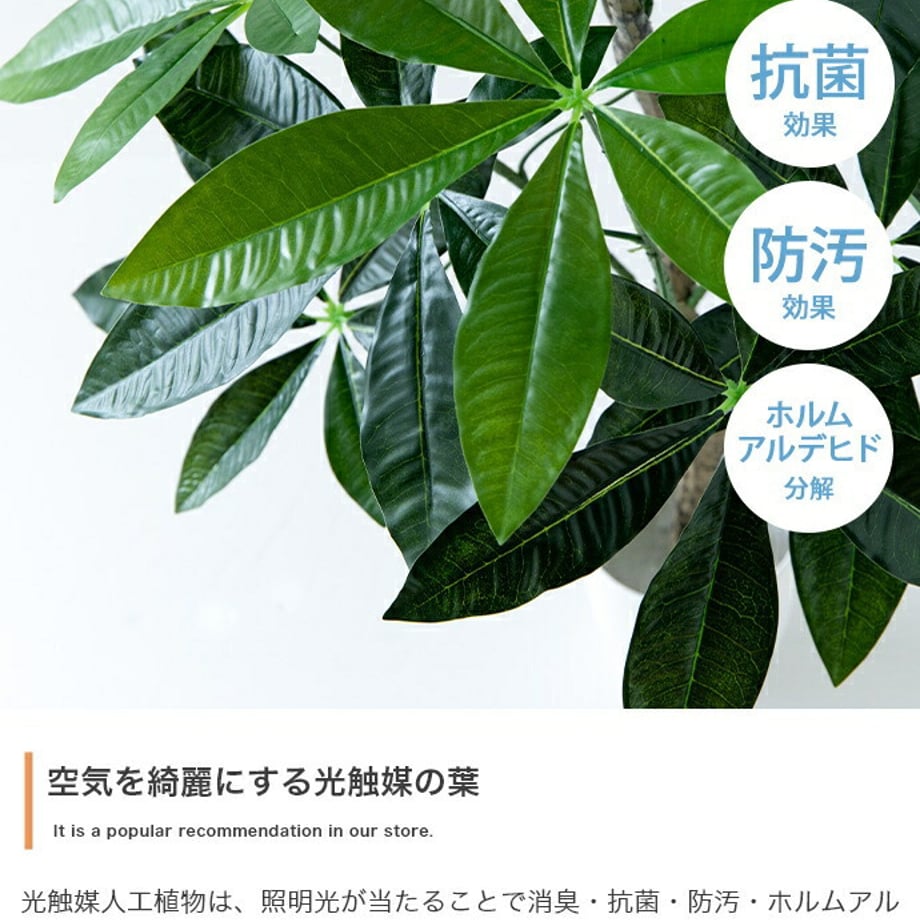 678daceaaf98d900017ca2ef