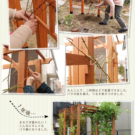 天然木製フレックスパーゴラアーチ190 2台組 平地金具セット  アーチ 門 木製 バラ 薔薇 フェンス ホワイト ブラウン おしゃれ 小型 北欧 ガーデニング 屋外 家具