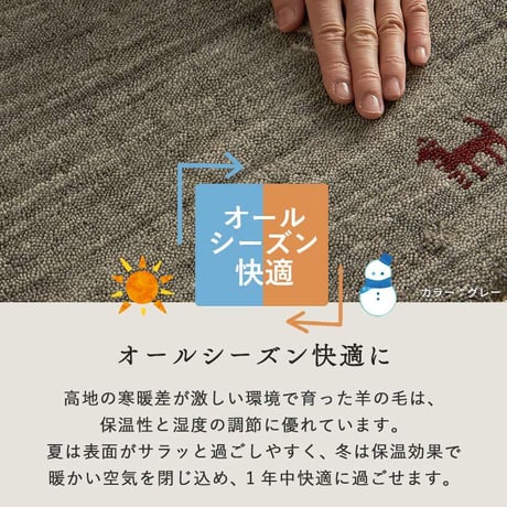ギャベ ギャッベ ギャッペ ラグマット 防炎 インド絨毯 マット ギャベマット 羊毛 ラグ カーペット ホワイト インドギャベ ギャベマット 絨毯 高級感 ラグ ギャッベ  50x80cm
