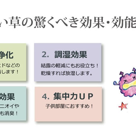 い草 上敷 カーペット F不知火 191×286cm 本間3畳