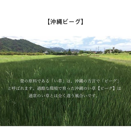 い草ラグ カーペット 沖縄ビーグ 130×200cm