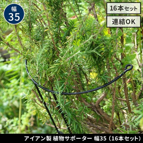 アイアン製植物サポーター 幅35 16本セット IF-N0048-16P 奥行18 高さ65 ハーフリング 倒れ防止 広がり抑制 スチール 鉄製 支柱 園芸 植物サポート フラワーサポート 菜園 花壇