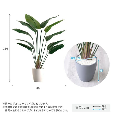 お手入れ簡単 フェイクグリーン ストレリチア Mサイズ(150cm)