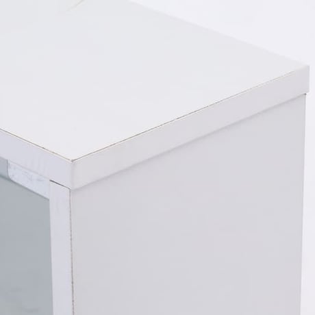 不二貿易 コレクションケース 4段 ロータイプ ガラス棚 収納機能 フィギュア収納に最適 高さ90cm 幅90cm 奥行き29cm 透明ガラス ほこり防止