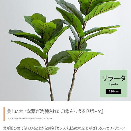 フェイクグリーン 観葉植物 フェイク 人工観葉植物 大型 光触媒 造花 インテリア リアル おしゃれ お祝い リラータ 鉢 葉 枝 観葉樹 120cm シンプル オフィス 室内 リ