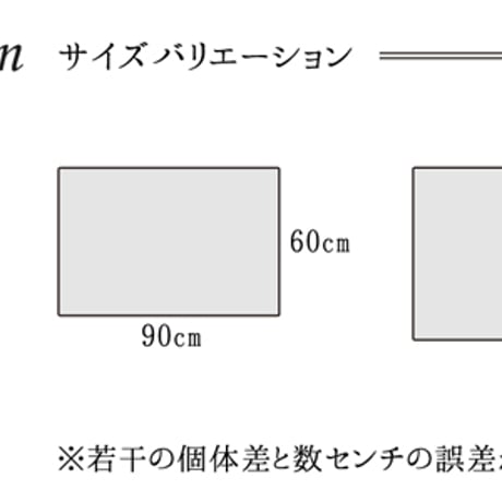 ウィルトン玄関マット マット パレット 50×80cm