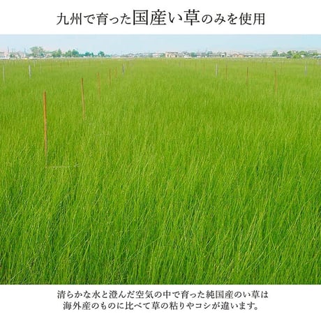 花ござ カーペット ランクス 174×261cm 江戸間3畳