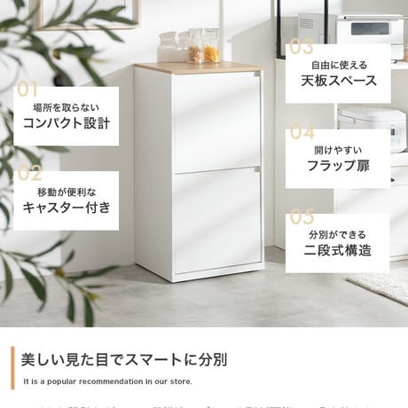 ゴミ箱 ダストボックス 分別 二段 15L 20L 縦型 フラップ式 キッチン 台所 ゴミ袋 収納 スリム コンパクト キャスター付き 一人暮らし 二人 ワンルーム 同棲 ファミリー 子供 キッズ