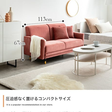 2人掛けソファ コンパクトソファー ベロア フロア ロー 二人用 2P 小さい 小さめ 省スペース クッション付き ひとり暮らし 一人暮らし 高級感 高見え 上質 幅113 1K