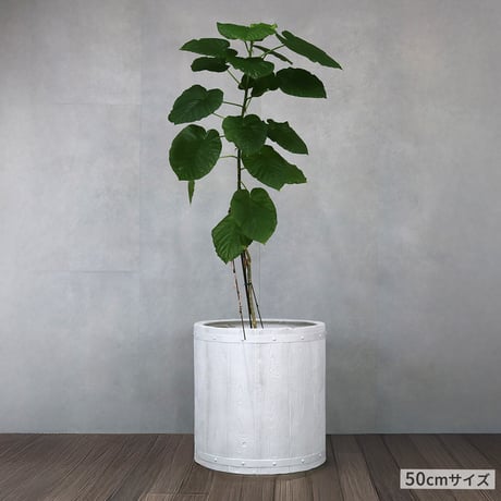 「FARBOR」 ファーバー 木調FRPプランター 幅50 (丸型) E002-EN500  直径48 高さ50 植木鉢 プランター 木製 ウッド 軽量 大型 51L カバー 庭 ガーデン インテリ
