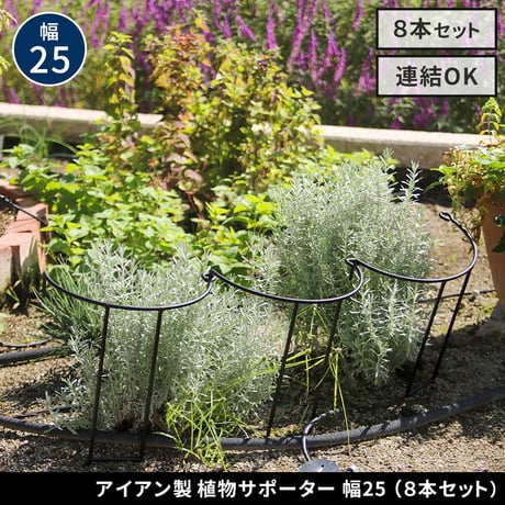 アイアン製植物サポーター 幅25 8本セット IF-N0049-8P 奥行13 高さ50 ハーフリング 倒れ防止 広がり抑制 スチール 鉄製 支柱 園芸 植物サポート フラワーサポート 菜園 花壇