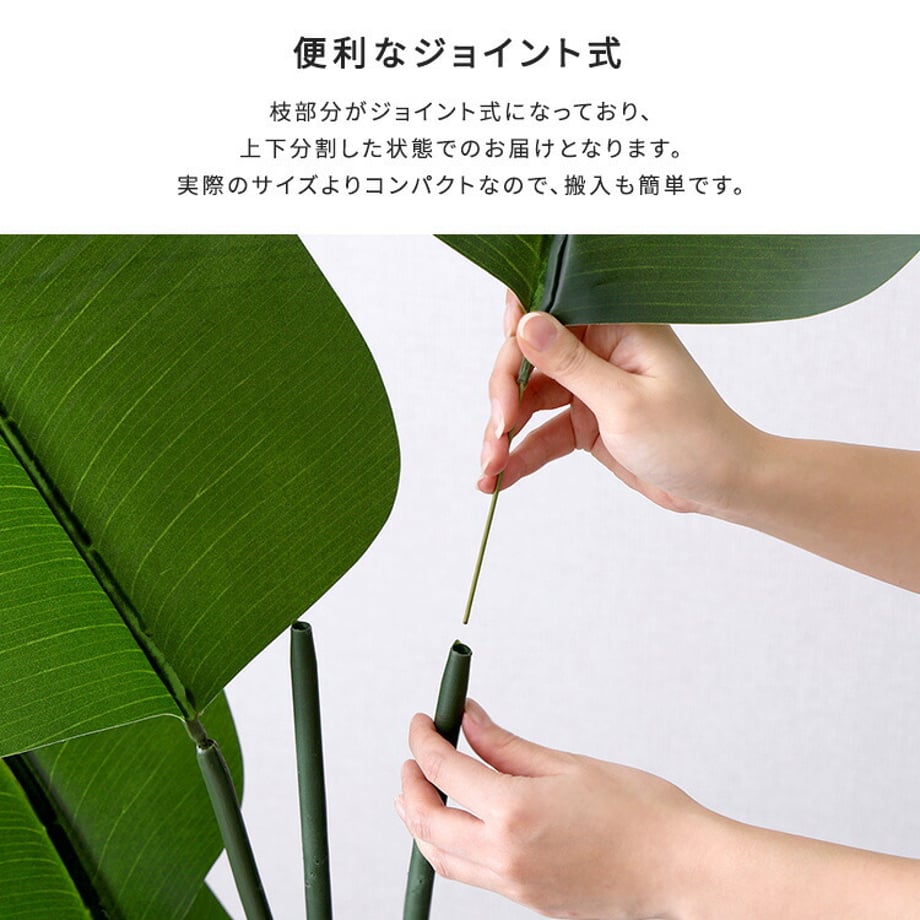 67a834da86db81000193ebbc