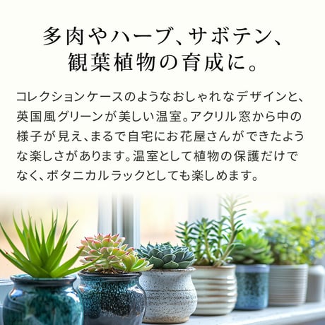 木製窓付グリーンハウス （温室） 「OWN」（オウン） GRH45DGR　温室 木製 ウッド 簡易 観葉植物 多肉植物 ガーデン 園芸 おしゃれ 飼育 ケース 保温