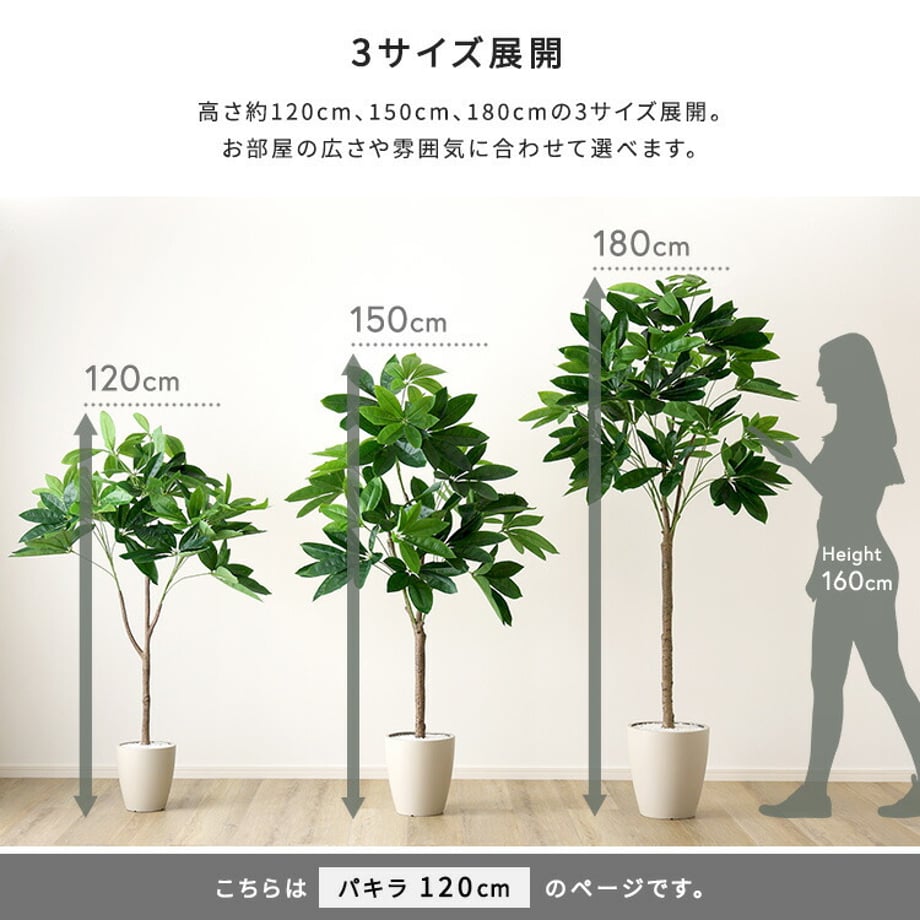 67a834b886db81000193eba4