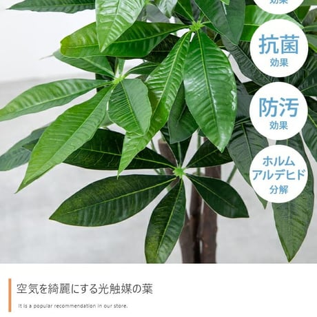 オリーブ シングル 高さ85cm フェイクグリーン 鉢植え 観葉植物 フェイク 光触媒 防菌 人工観葉植物 造花 人工 観葉植物 おしゃれ リアル 高品質 インテリアグリーン 鉢植