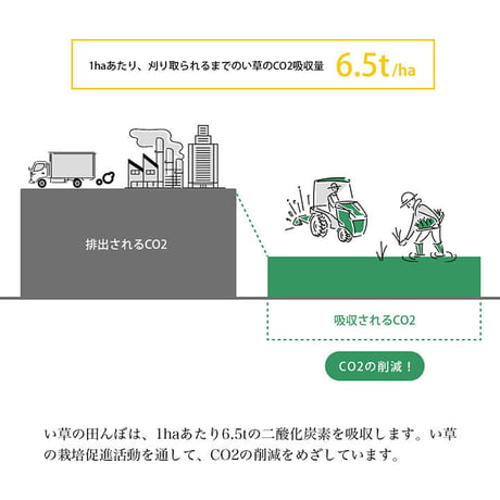 置物 雑貨 イ草リース 20Rcm