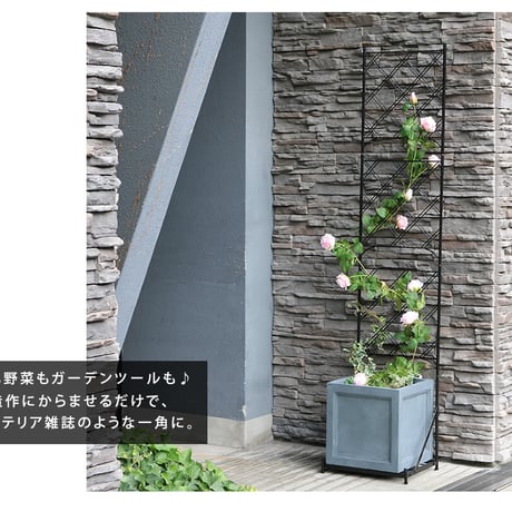 プランター台付フェンス スリムタイプ 「アーガイル」  フェンス アイアン ガーデンフェンス ガーデニング プランター 柵 仕切り 目隠し 境目 ベランダ つる 薔薇 バラ