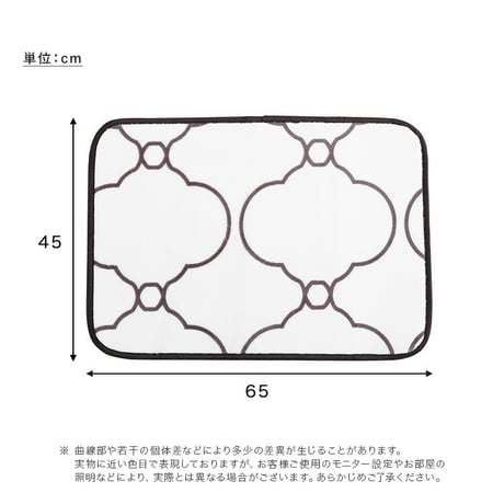 洗えるデザイン玄関マット 45×65cm 【ヴィタム2-Witam2-】