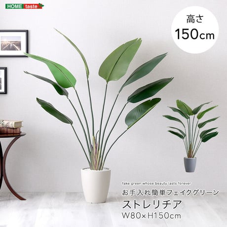 お手入れ簡単 フェイクグリーン ストレリチア Mサイズ(150cm)