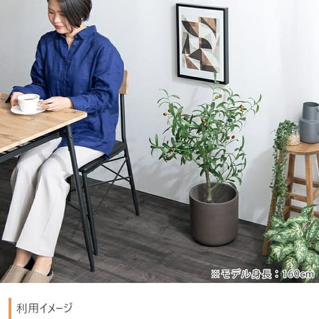 オリーブ シングル 高さ85cm フェイクグリーン 鉢植え 観葉植物 フェイク 光触媒 防菌 人工観葉植物 造花 人工 観葉植物 おしゃれ リアル 高品質 インテリアグリーン 鉢植