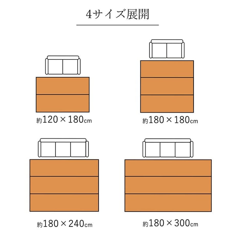 67c0f3fc5ab45e0001e70343