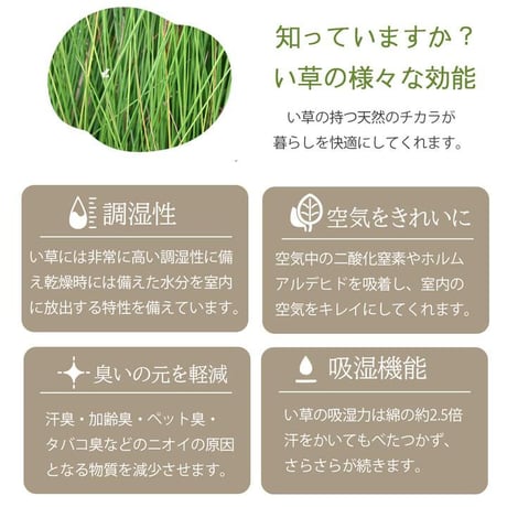 い草ラグ カーペット ヴィオラ 191×250cm