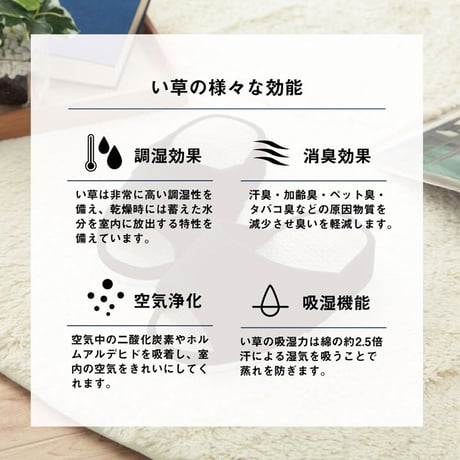 ルームシューズ 雑貨 スアブ フリー
