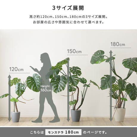 お手入れ簡単 フェイクグリーン モンステラ Lサイズ(180cm)
